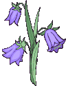 clochettes.gif (10309 octets)