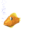 fish.gif (13139 octets)