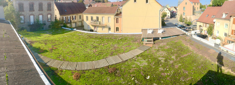 vue-toiture.jpg (103957 octets)